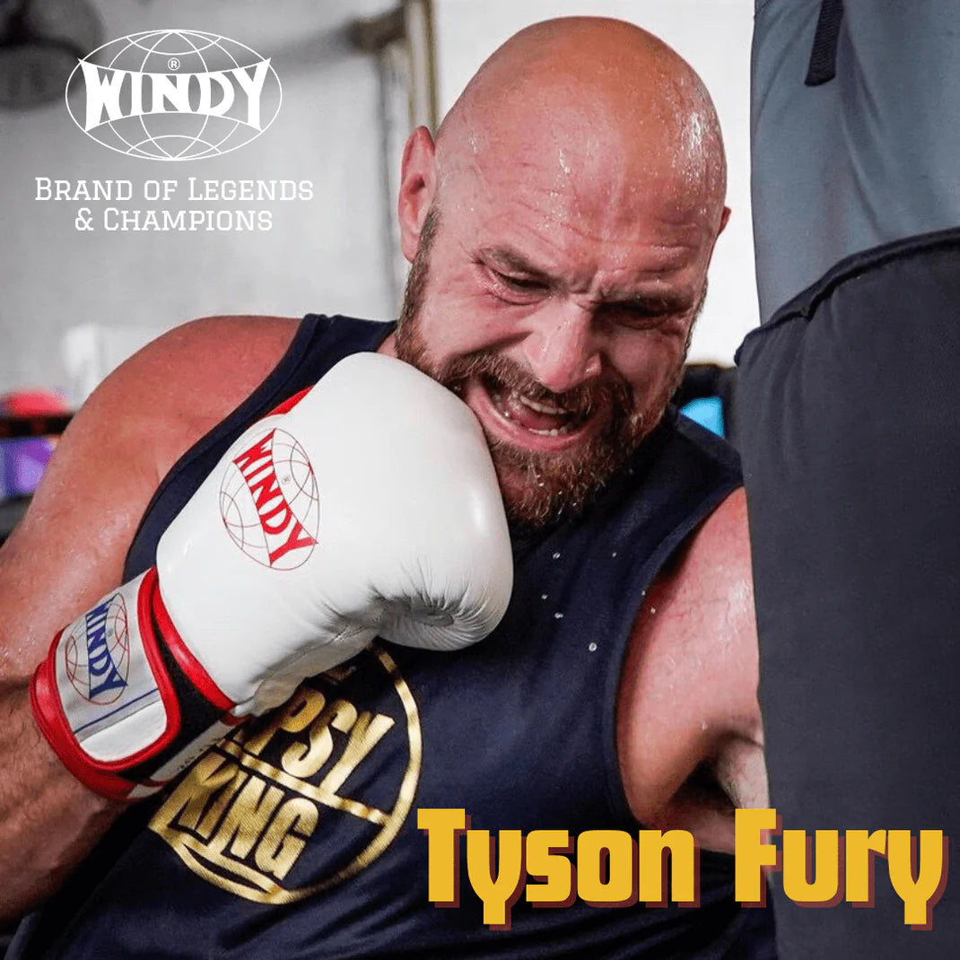 Windy Fight Gear | Premium Combat Sports Gear Since 1951